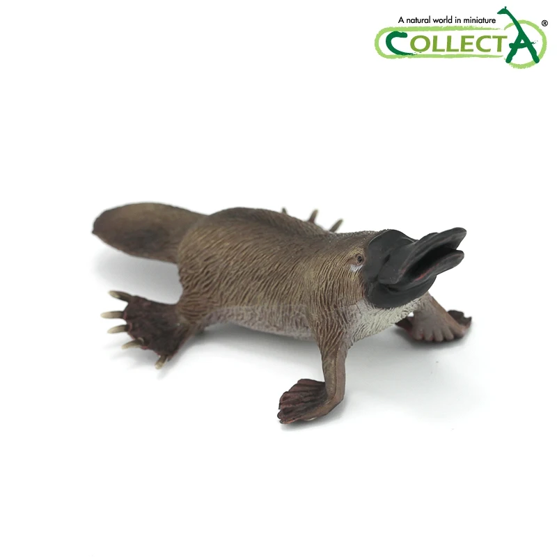 CollectA Platypus Klasične Igrače Za Fante, Otroci Divje Živali Model 88795