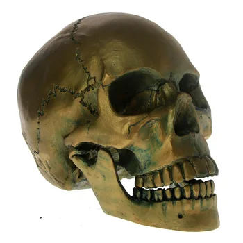 1Piece Starinsko Okostje Glavo Kiparstvo Halloween Grozo Decoraiton 1:1 Življenju Velikost Bronasto Skull Glave S Premično Čeljusti