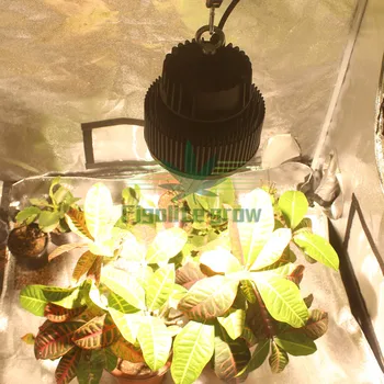 Novo DIY Celoten spekter dejanske moči 100w COB cxb 3590 Čip LED grow light za uporabo v zaprtih prostorih medicine rastlin