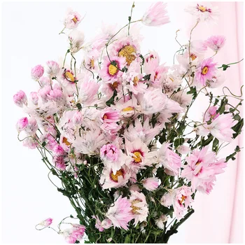 YO CHO Večni cvet white daisy cvet posušena rastlina majhne smilj šopek poročni dekoracijo, pravi cvet doma dekoracijo