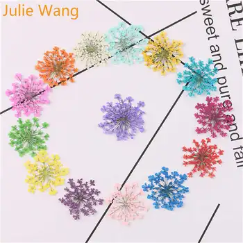 Julie Wang 50PCS Naravno Sušene Čipke Cvetove Primerka Za Čare Chrysoprase Ogrlica, Uhani Epoksi Nakit, Izdelava Dodatne opreme