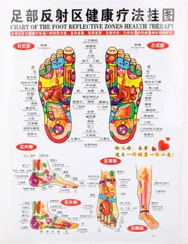 Grafikon stopala reflektivni pas zdravje terapija Masaža akupunktura acupoints Medicinske študije Kitajščina-slovenščina 68*48 cm Nepremočljiva
