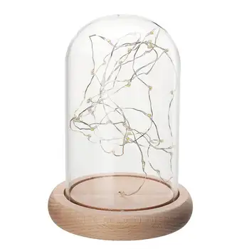Steklena Kupola Bell Jar Cloche Zaslon Lesena Osnova Z Pravljice LED Nočna Lučka Okraski za Božično Darilo za Poroko