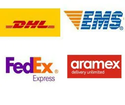 Da manj kot $100 ,prosimo, da plača $20 za Dostava po DHL,Aramex,Fedex,EMS