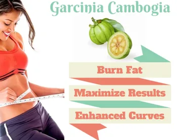 Pure Garcinia Cambogia Extract za hujšanje - Največja Moč 90% HCA zeliščni izgubi teže, prehrana obliž