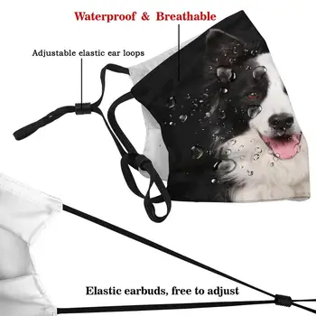 Črno In Belo Obrobo Škotski Ovčarski Pes Za Pasje Ljubitelje Mode Zaščitne Maske Pes Mejni Škotski Ovčarski Pes Črni In Beli Pes Za Ljubitelje Psov