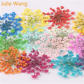 Julie Wang 50PCS Naravno Sušene Čipke Cvetove Primerka Za Čare Chrysoprase Ogrlica, Uhani Epoksi Nakit, Izdelava Dodatne opreme