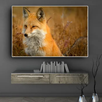 Sodobna Smešno Fox Plakat Platno Stensko Slikarstvo Umetnost, Živali Slike HD Tiskanja Za dnevno Sobo, Spalnica Dekoracijo Cuadros Brez Okvirja