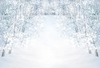 NeoBack Fotografija Ozadje, Zima Bela V Sneg, Zamrznjene Prostem Kulise Božični Dekor Photocall Ozadje Foto Studio
