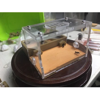 Vojska Zelena Ant Gnezdo 3D Tiskanje Ravno Gnezdo Sadra Tla Akril Ant Farm
