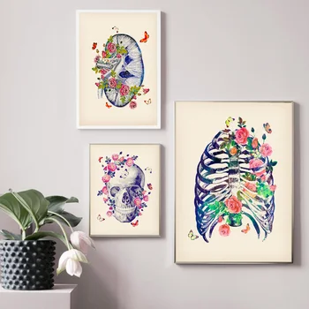 Anatomijo Medicinske Wall Art Natisne Platno Slikarstvo Lobanje Možgane, Srce, Pljuča Rebro Nordijska Letnik Plakat Dekor Slike Za Dnevno Sobo