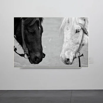 Sodobna Živali Platna Slike Skoki Kul Konj Črno-Belo Tiskanje Plakatov Wall Art Slike za Dnevni Sobi Doma Dekor