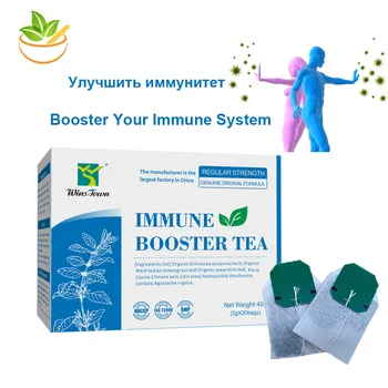 40 kos/2 Paketi Kitajski Ekološko Zdravje Imunski Booster Teabags Proti Bakterije, Virusi, Glive Staranja Zeliščni Napitek za Izboljšanje Imunosti