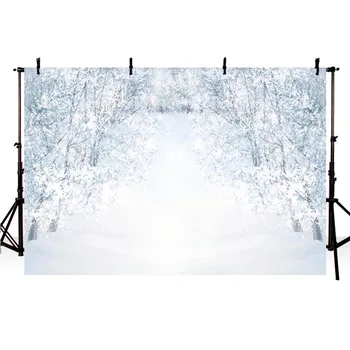 NeoBack Fotografija Ozadje, Zima Bela V Sneg, Zamrznjene Prostem Kulise Božični Dekor Photocall Ozadje Foto Studio