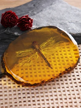 Zbirka Kitajski Lepa Rumena Dragonfly Fosilne Žuželke Ročno Poliranje Izvrstno Darilo