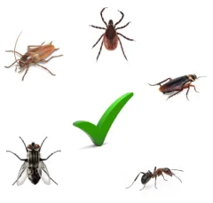 BAYER K-OTHRINE SC 50 insekticid 50 mL muhe, komarji, bolhe, lice, žuželke, pršice, ščurki, škarje, knjige lice, mravlje