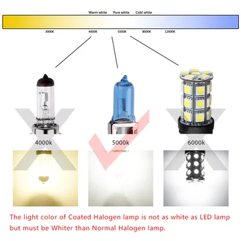 S&D Smerniki Žarnice Halogenske H1 100W 12V Napolnjena Super Svetla Bela - Avto Luči za Meglo svetlobni pramen Dan Teče Vir Svetlobe