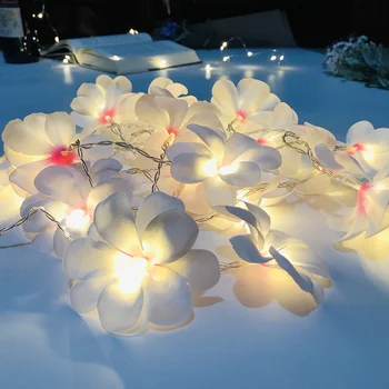 5 meter 40 led frangipani cvetličnimi venci z led svetlobo napaja baterija,vaze, cvetlični svetlobe dekoracijo,Stranka cvet niz