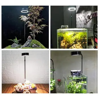 Doma Lesa Odbor Posajenih Rastlin Toplotna Izolacija Poln Rezervoar Rib Miniaturni Krajine 10W Anti Insect Aquarium LED Luči