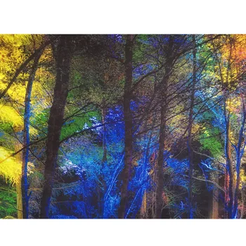 NESEBIČNO Pisano Drevo, Gozd Krajinskega Slikarstva Wall Art Platno Tiskanje Plakatov Za dnevno Sobo Modularni Slike brez okvirja