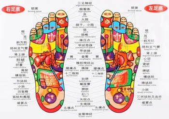 Grafikon stopala reflektivni pas zdravje terapija Masaža akupunktura acupoints Medicinske študije Kitajščina-slovenščina 68*48 cm Nepremočljiva