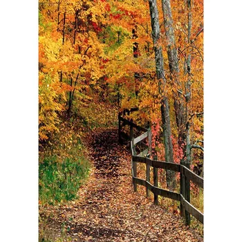 Jeseni Gozdne Kulise Padec Maple Leaf Pot Naravne Kulise Fotografija Ozadje za Fotografijo Ustrelil Studio Photobooth Rekviziti