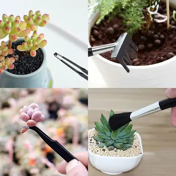 Sočne Rastline Orodja Mini Vrt Ročno Orodje Set Presajanje Orodja Miniaturni Sajenje Vrtnarsko Orodje Set za Notranjo Miniaturni