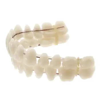 10set/box 28pcs/set Smolo Zob Proteza Zgornji Nižje Odtenek A2 Proizvedene Umetno Opravila Dentition Ustno Nego Material, Orodje