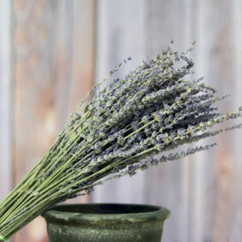 100 g suhih naravne cvetlične šopke posušenih naravnih angleški cvet Sivke šopek&general modri cvet sivke Šopke