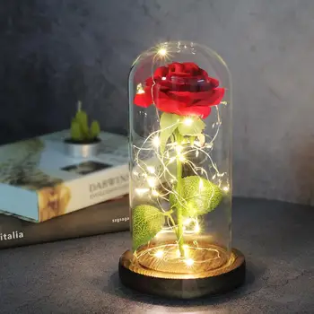 2020 Valentinovo Darilo Lepota in Zver Cvet Vrtnice V Stekleno Kupolo, Led Lučka za Dekoracijo Najboljše Darilo za Punco