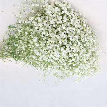 Naravno sušene baby dih cvetje, šopke pravi dotik cvetje za poroko Beli dekor