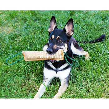 Pes Igračo Agility Usposabljanje Za Pse Oprema Za Hišne Živali, Igranje Perilo Interaktivna Igrača Z Dvema Ročajema Nemški Ovčar Ugriz Usposabljanje