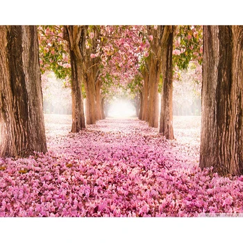 GATYZTORY Barvanje Z Številkami Za Odrasle Češnjev cvet cesti brez okvirjev Digitalni Barve Z Številkami Na Platno DIY Doma Dekor Darilo