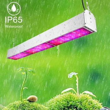 150W 300W 450W 600W 750W LED Grow Light Celoten Spekter Vodotesen IP65 Rast Lučka za rastline hydroponics rastejo šotor toplogrednih
