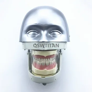 Zobni Simulator Manikin Fantom Glavo, demonstracije, praktične vaje orodja zobni model