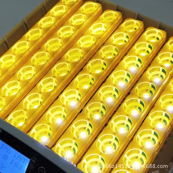 Poceni 56 Jajca Mini Termostat Doma Inkubator Samodejno Jajce Inkubator Hatcher Izklop Inteligentni Nadzorni LCD Budilka z Jajcem Tester